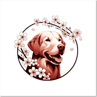 Chesapeake Bay Retriever Welcomes Spring with Cherry Blossoms Posters and Art